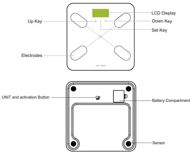 Greater Goods 0384 Body Fat Analyzer - Device Components
