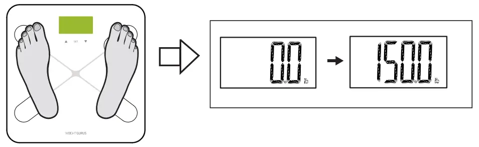 Greater Goods 0384 Body Fat Analyzer - Only Operation