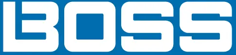 BOSS logo
