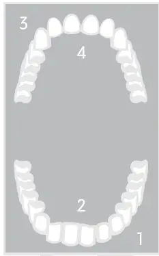 TAO-clean-BA-0130-Umma-Diamond-Sonic-Toothbrush-fig14