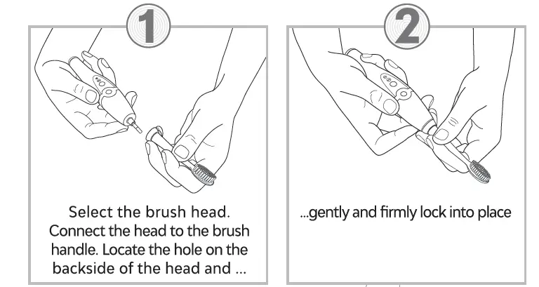 TAO-clean-BA-0130-Umma-Diamond-Sonic-Toothbrush-fig2