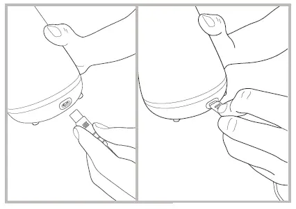 TAO-clean-BA-0130-Umma-Diamond-Sonic-Toothbrush-fig4