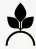 LIVETRENDS ASB05731 Lucky Live Black Velvet Plant in 4-in Planter - icon3