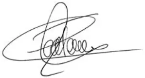 saci pumps OPTIMA Swimming Pool Pump and Filter - Signature