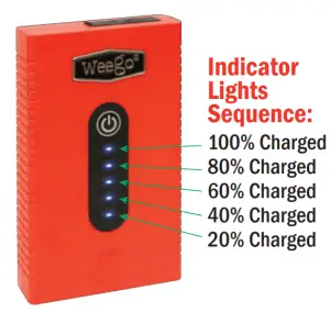 Weego 44s Jumper Starter - FIGURE 2