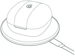 Charging Instructions