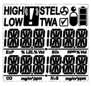 WatchGas QGM Portable Multi-Gas Detector Monitor FIG3
