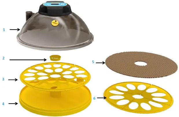 Brinsea-Maxi-24-Advance-Egg-Incubator-1