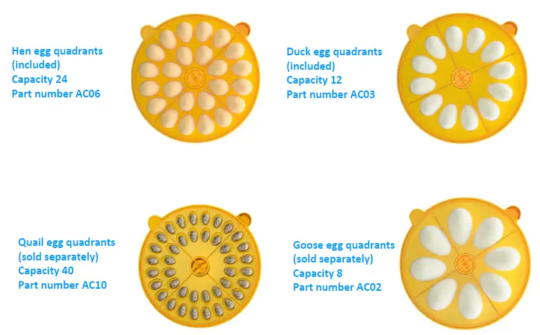 Brinsea-Maxi-24-Advance-Egg-Incubator-18