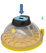 Brinsea-Maxi-24-Advance-Egg-Incubator-4