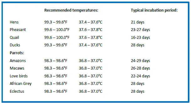 Brinsea-Maxi-24-Advance-Egg-Incubator-9