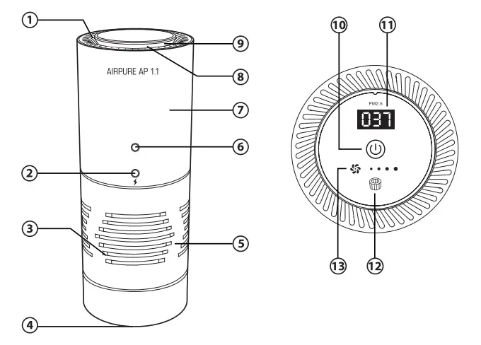 diagramSTRUCTURE & FUNCTIONS