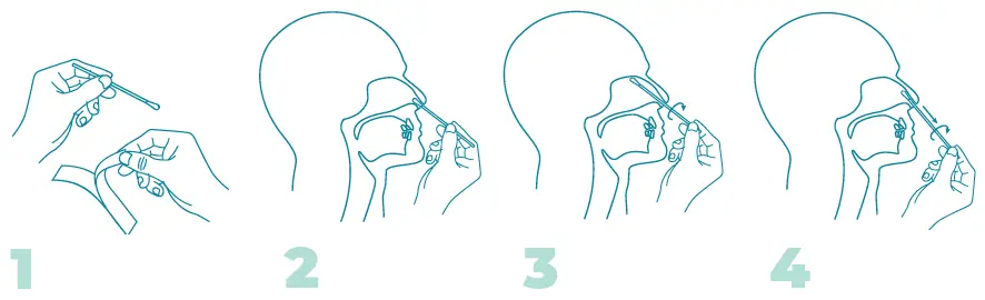 EMPOWERED DIAGNOSTICS SARS-COV-2 Covclear Covid-19 Rapid Antigen Test-1