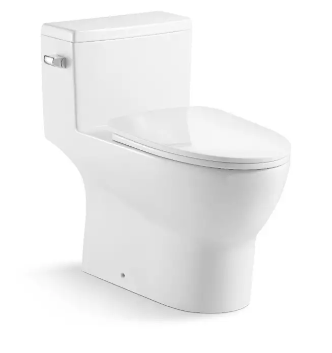 innoci-usa-One-Piece-Single-Flush-Toilet