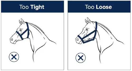 NIGHTWATCH NW-1000 Mastering Design for Wearable Devices-10