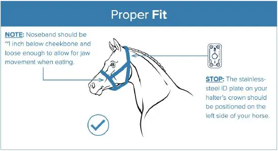 NIGHTWATCH NW-1000 Mastering Design for Wearable Devices-11