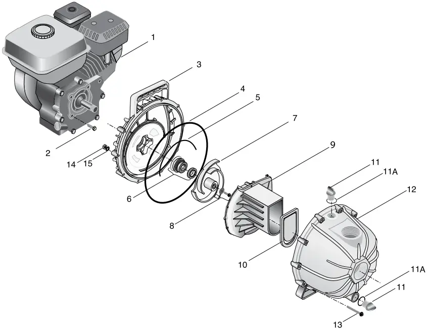 Pump Replacement Exploded View