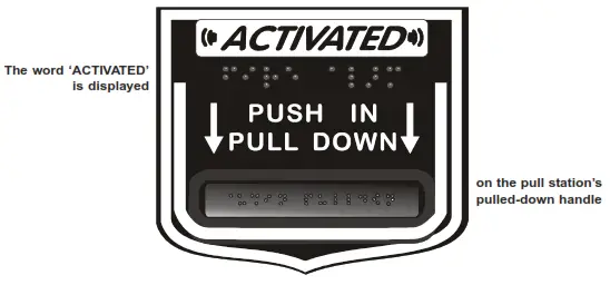 NOTIFIER NBG-12 Series Manual Pull Station - Switch