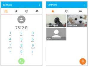 Biz Phone app interface