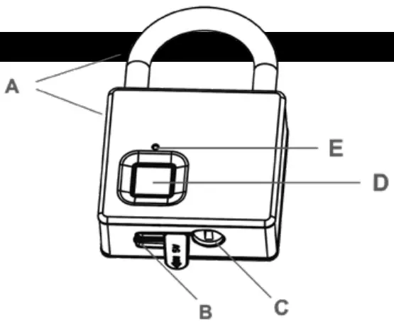 BURG-WACHTER-2367705-Scan-and-Lock-610-Padlock-53mm-Fingerprint-FIG-1