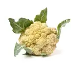 cauliflower buffalo bites