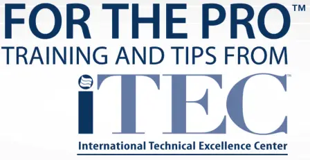 BRADFORD WHITE ICON Gas Valve - Logo