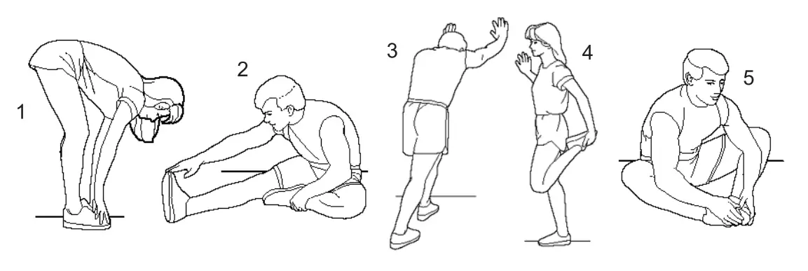 Stretching Exercise
