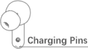 Product Structure Charging Pins
