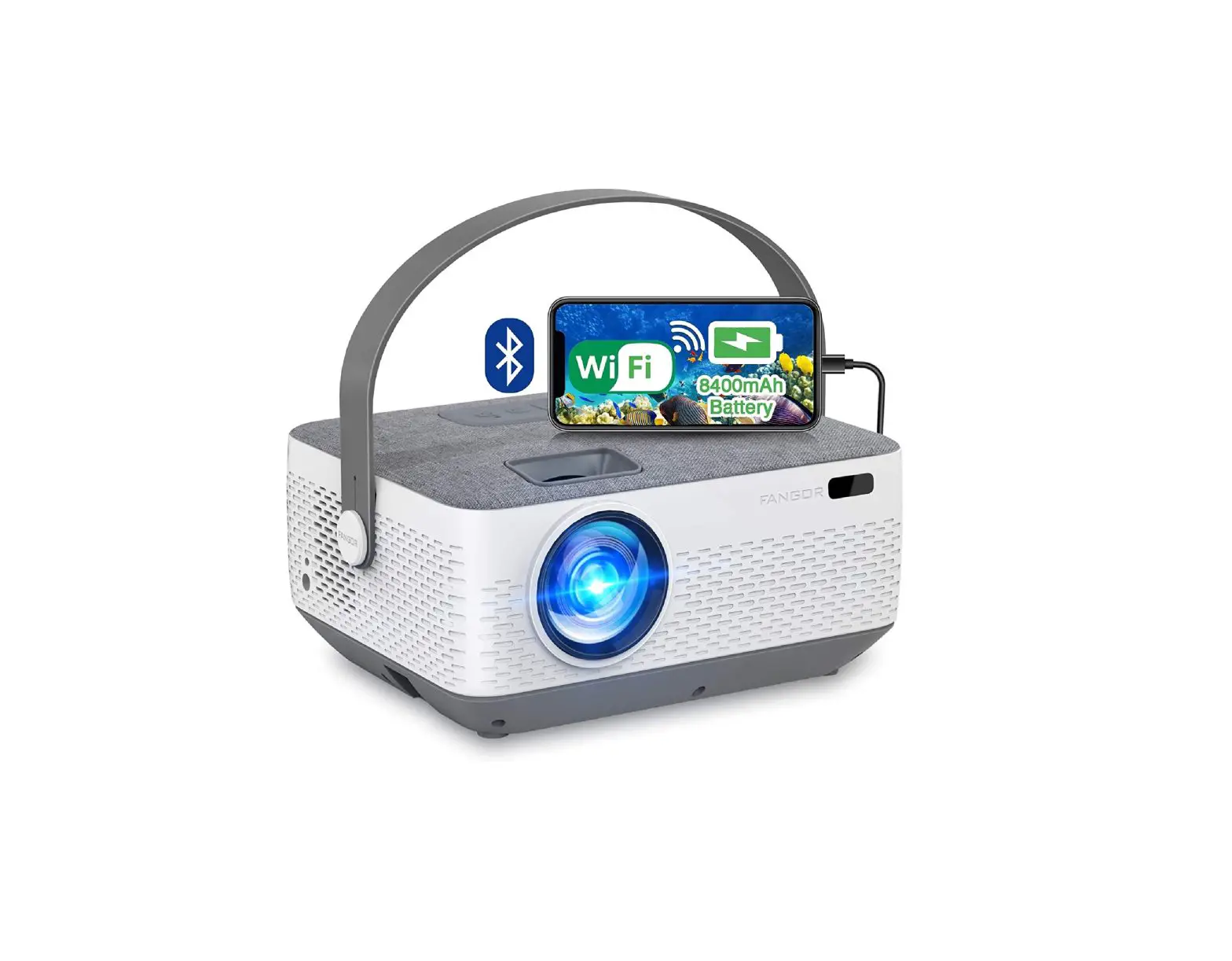 Fangor Projector F-601 User Manual