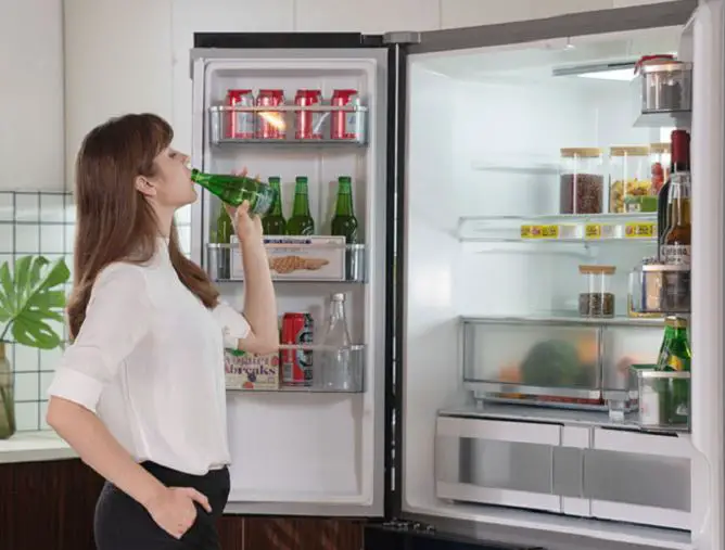 Midea Refrigerator Side By Side Hc-683wen User Manual Midea Refrigerator Side By Side Hc-683wen User Manual