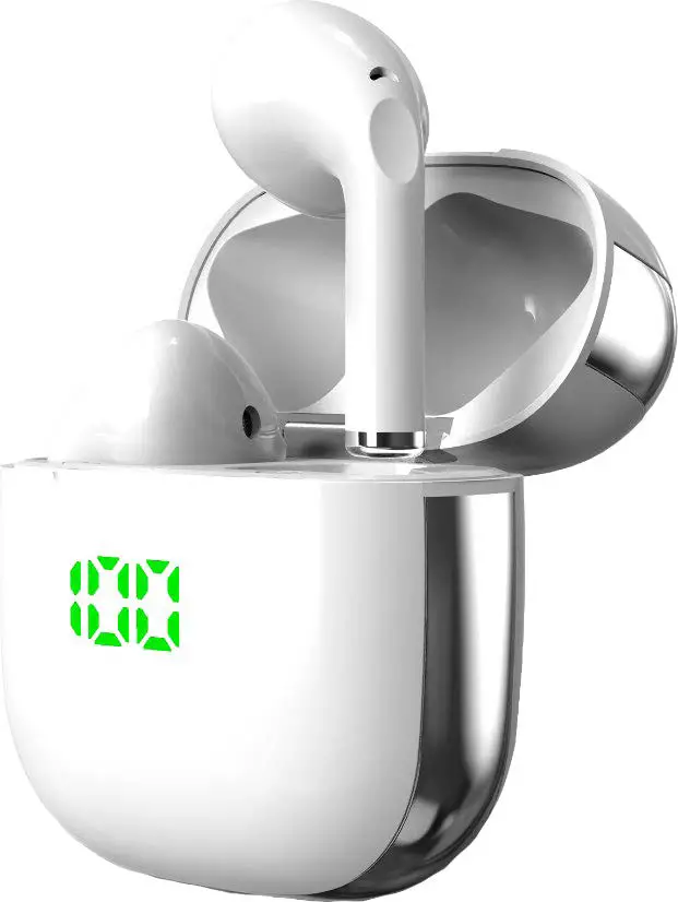 BLAUPUNKT BLP4899 Wireless Earphones Product