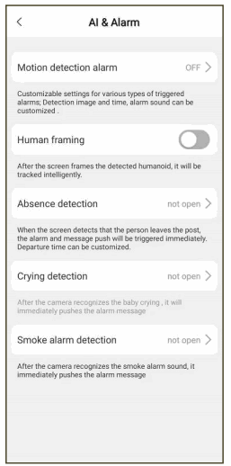 VSTARCAM CB73 Mini IP Camera - Alarm