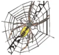 NEXGRILL 840 0008 Fish and Wing Fryer - SPIDERS