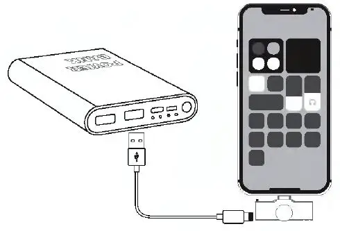 Antye 42144279 Wireless Microphone Lightning Receiver 6