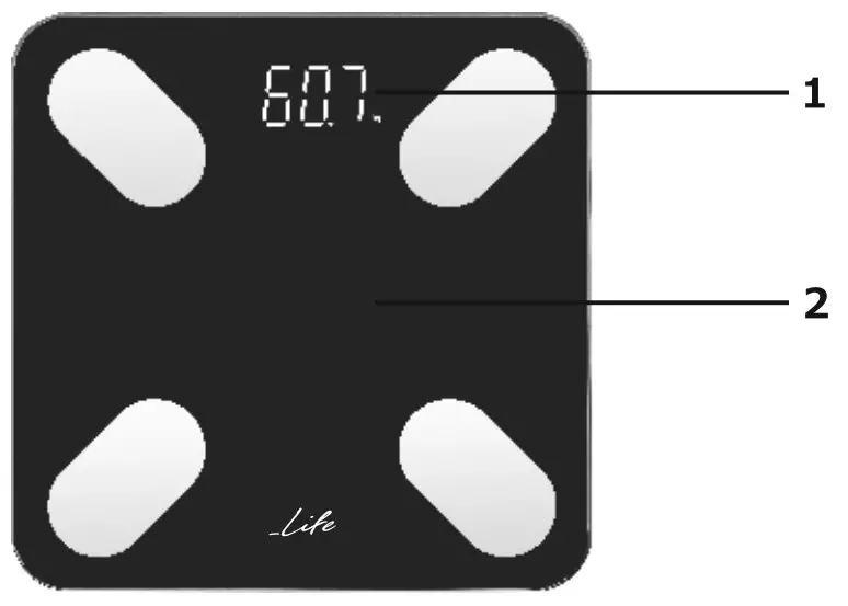 LiFE 221 0219 Petite Smartweight BT Smart Scales - fig