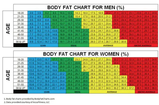 LiFE 221 0219 Petite Smartweight BT Smart Scales - timde