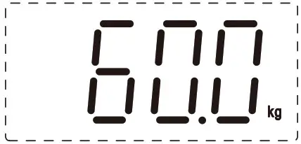 LiFE 221 0219 Petite Smartweight BT Smart Scales - time 1