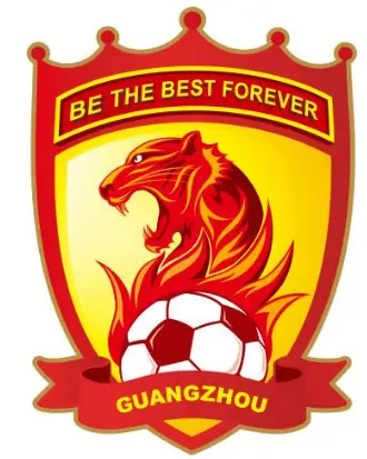 Guangzhou V Show Pro Lighting WBRF0606 6x18w LED Battery Wireless Uplight logo