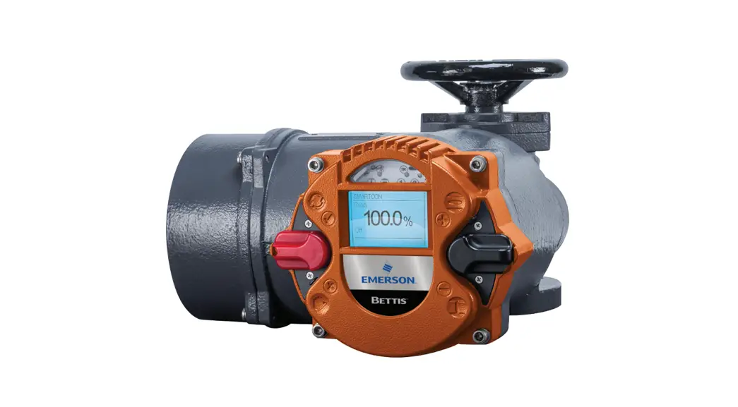 Emerson Bettis Rts Extension Board Instruction Manual