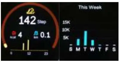 DENVER Smartwatch User Manual - Pedometer