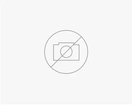 FISHER PAYKEL 25783 Door Panel for Integrated Ice and Water Refrigerator - Fig