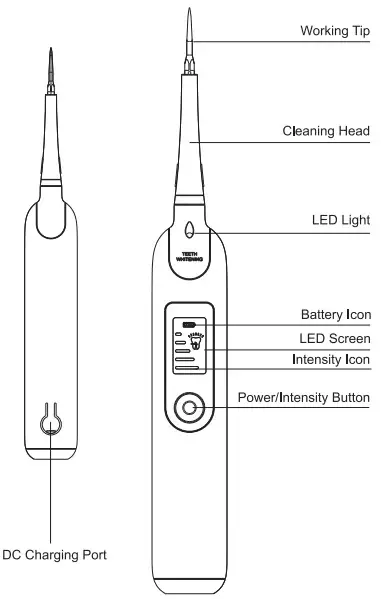 TADSmile Electric Teeth Cleaner with LED Screen -DC PORT