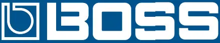 BOSS LOGO