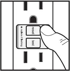 legrand 2097TRSGLW GFCI Receptacle 12