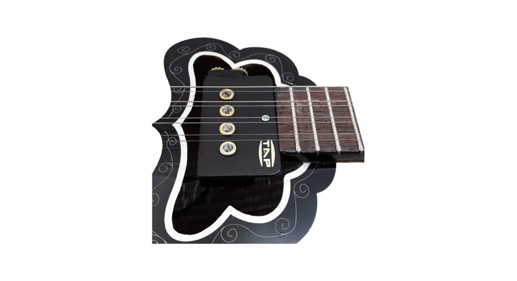 Tap Gs Bouzouki Pickup Owner's Manual