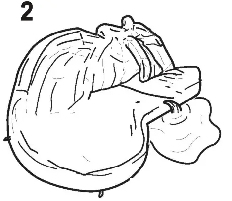 BOUNTECH OP70144 Inflatable Water Park - boser said