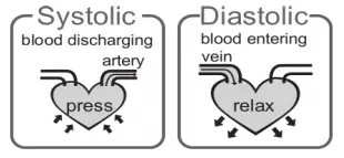 What are systolic pressure and diastolic pressure