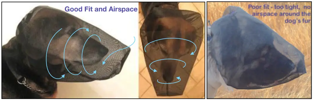 Good Fit and Airspace