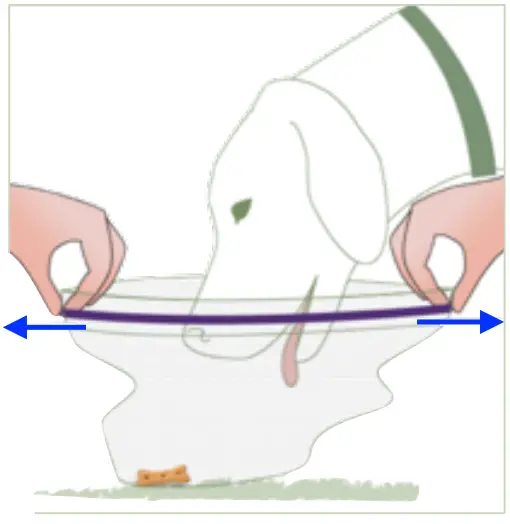 PUT ON THE DOG THE GENTLE WAY