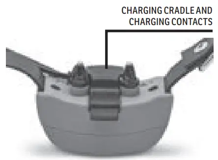 Cabela s GS 100 Training Collar-fig7